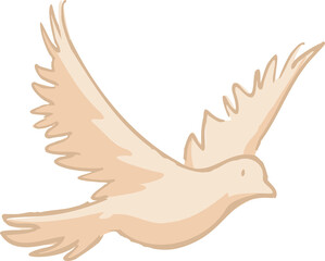 White dove flying. Holy spirit vector illustration and sketch, line art for coloring and mass booklet. White dove to represent peace, god, holy spirit, freedom, peace, love, and faith.   