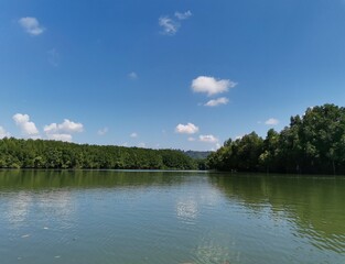 Lake in the forest