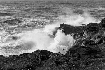 Waves Crashing on Rocks, Oregon Coast, USA