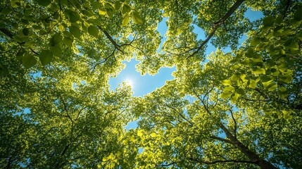 Sunlight Filtering Through a Dense Canopy of Green Leaves