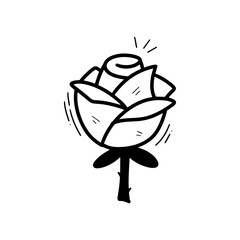 Hand Drawn Rose Illustration. Doodle Vector. Isolated on White Background - EPS 10 Vector