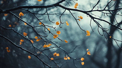 Tree branches with a few scattered leaves.


