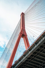 Yangpu Bridge, a cable-stayed bridge in Shanghai