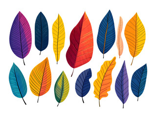 Obraz premium Colorful Autumn Leaves Illustration