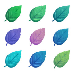Obraz premium Colorful Mint Leaves Set Green Blue Purple Illustration Design Element