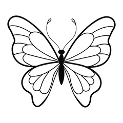 Black butterfly vector design. Line art