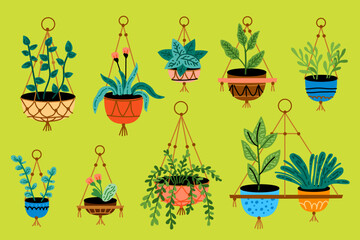 Potted plants set. Interior houseplants in planters, baskets, flowerpots. Home indoor green decor. Different succulents, cacti, foliage. Flat graphic vector