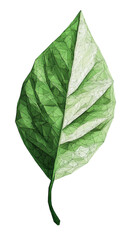 Fototapeta premium Green Leaf Low Poly Illustration Nature Abstract Ecology