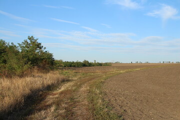 A dirt road with grass and trees