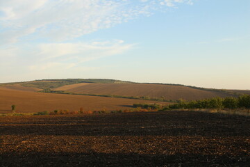 Fototapeta premium A field with trees and hills in the background
