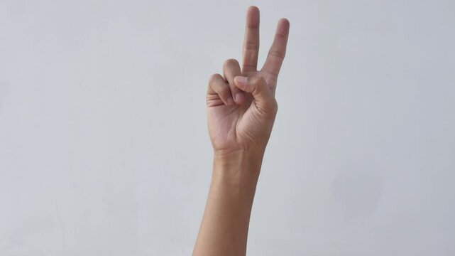 Asian male hands counting numbers one to five on white background. hand gesture of an adult asian man showing the numbers one to five on a white background. 4K slow motion footage.