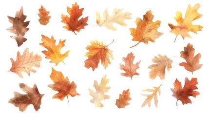 Vibrant Watercolor Autumn Oak Leaves Scattered Across a White Background with Warm Fall Hues