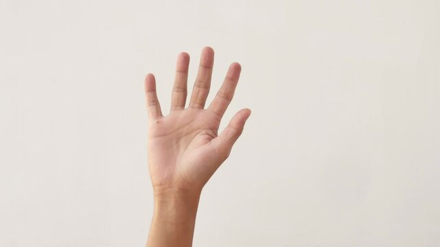 Hands, wave and sign for hello, goodbye or friendly greeting on white background in studio or communication with body. Hand gesture, person or expression of welcome, farewell or waving for attention.