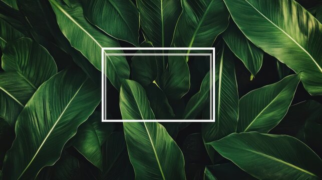 A collection of lush green leaves with a blank frame in the center for text or images.