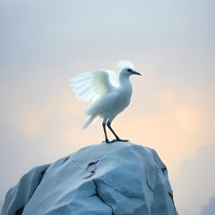 seagull on the beach
