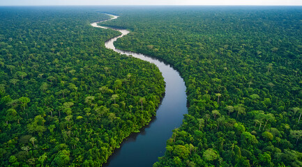 Aerial view of the Amazon rainforest with a winding river, showcasing its rich vegetation and diverse wildlife. 