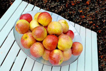 Apple, table and bowl outdoor for nutrition, eating and healthy food with sustainability on organic farm. Fruit, container and harvest in nature for vitamin C, hydration and eco friendly agriculture