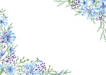 Blooming blue chicory and purple meadow flowers herbs among spikelet watercolor horizontal frame. Wild plants illustration with space for text. For greeting. invitation cards
