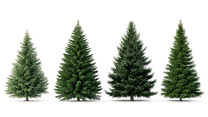 Set of green trees isolated on transparent background, christmas tree