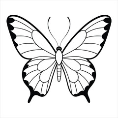 Black butterfly vector design. Line art