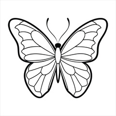 Black butterfly vector design. Line art
