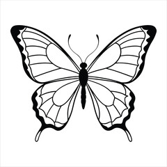 Black butterfly vector design. Line art