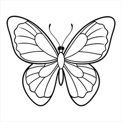 Black butterfly vector design. Line art