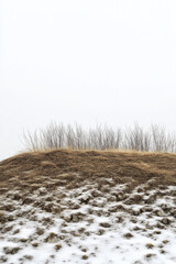 Fototapeta premium Snow-covered hilltop with sparse grass and trees in a foggy landscape near a rural area during winter