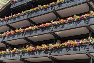 Charming window flower boxes on a typical Swiss chalet in summer - Switzerland