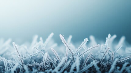 Obraz premium Frost-covered grass blades create a serene winter scene, showcasing nature's beauty in a cool, tranquil color palette.