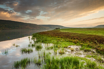 Beautiful rural landscape with green meadows and domestic animals in the Republic of Moldova. Country life with summer nature.