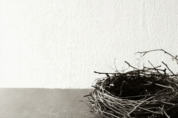 Bird's nest on a minimalist table in monochrome setting