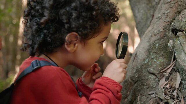 Young child in a red sweater using a magnifying glass to examine tree bark, expressing curiosity and wonder in a forest setting.