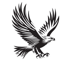  Flying eagle vector illustration