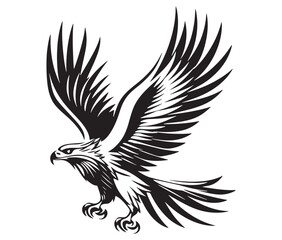  Flying eagle vector illustration