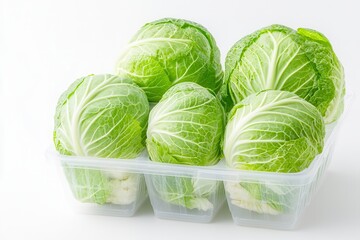 Fototapeta premium Cabbage on white background