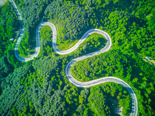 Image of colorful leaves falling down from tree branches in autumn. (Yedigöller). Yedigoller National Park, Bolu, Istanbul. Turkey.