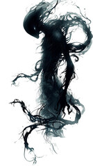 A shadowy figure, rendered in a dark and abstract style, evokes a sense of mystery and haunting presence. The figure's form is indistinct, with swirling lines and tendrils that suggest a spectral bein