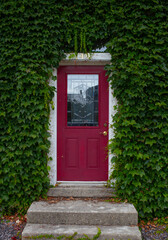 Red exterior door wrapped in green ivy vine.