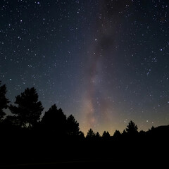 The beautiful shining stars in the night sky