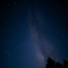 The beautiful shining stars in the night sky