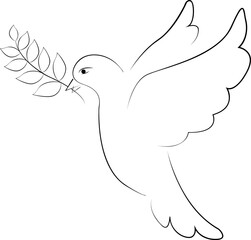 Dove peace. Symbol hope and striving for harmony. White dove holding an olive branch in its beak. New beginning and improvement of life. Bird of happiness.