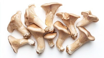Fototapeta premium A top-down view of King oyster mushrooms scattered on a white background, their thick stems and wide caps creating an interesting visual contrast.