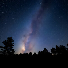 The beautiful shining stars in the night sky