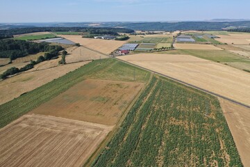 Paysage agricole 
