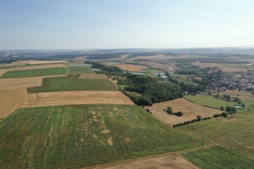 Paysage agricole 