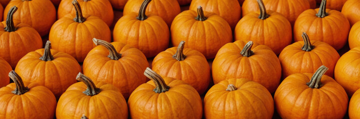 Obraz premium An array of various pumpkins of different sizes and colors arranged on a flat surface. This image represents autumn, harvest season, and is ideal for themes related to Thanksgiving or fall decorations