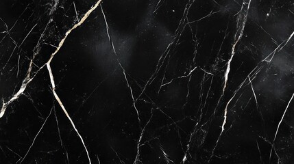 Elegant black marble surface featuring striking white veining patterns.