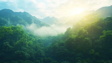 Obraz premium Breathtaking view of lush green mountains at sunrise, with mist gently rising through the trees, creating a serene atmosphere.