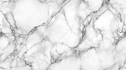 Elegant white marble background featuring intricate grey veining patterns.